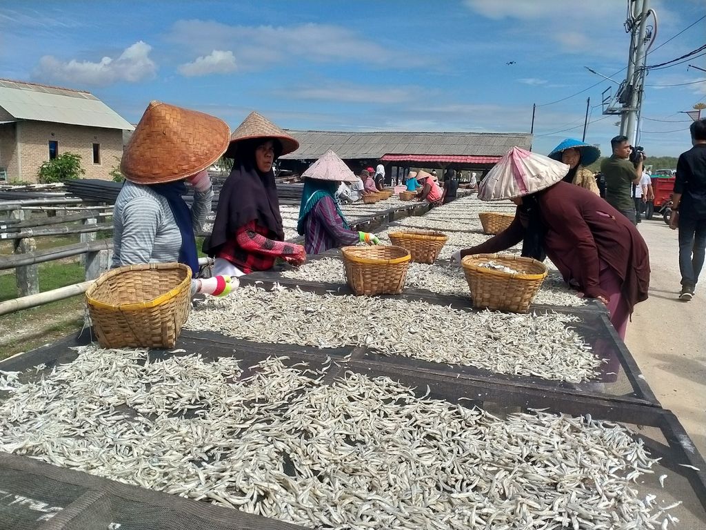 Ibu-ibu pekerja sedang memilah ikan teri yang dijemur di sentra penghasil ikan teri di Pulau Pasaran, Kota Bandar Lampung, Lampung, Rabu (7/2/2024). 