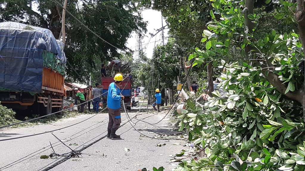 Petugas PT PLN Distribusi Lampung sedang memperbaiki kabel dan tiang listrik yang tertimpa pohon tumbang, Kamis (20/2/2020).