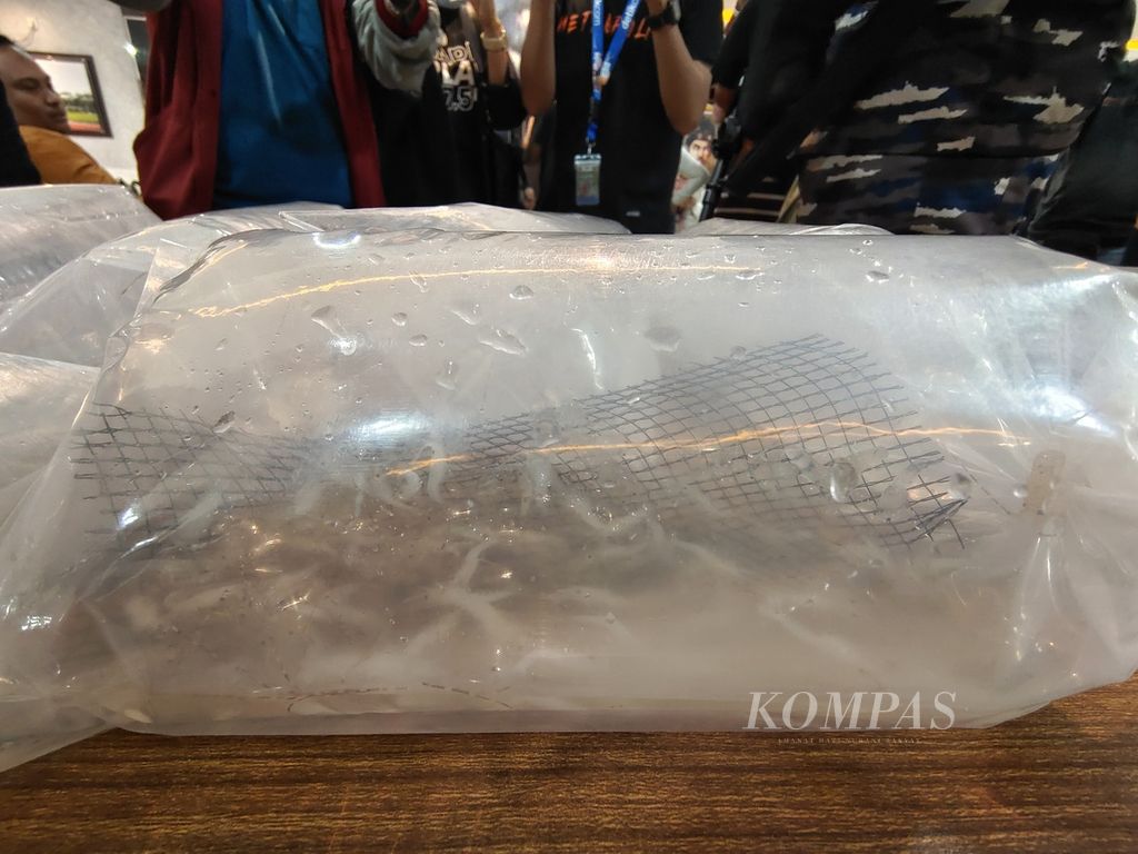 The evidence of clear lobster seeds, which were planned to be smuggled to Singapore, was shown to the media crew at a press conference in the Navy Base of Palembang, South Sumatra, on Monday (May 6th, 2024).