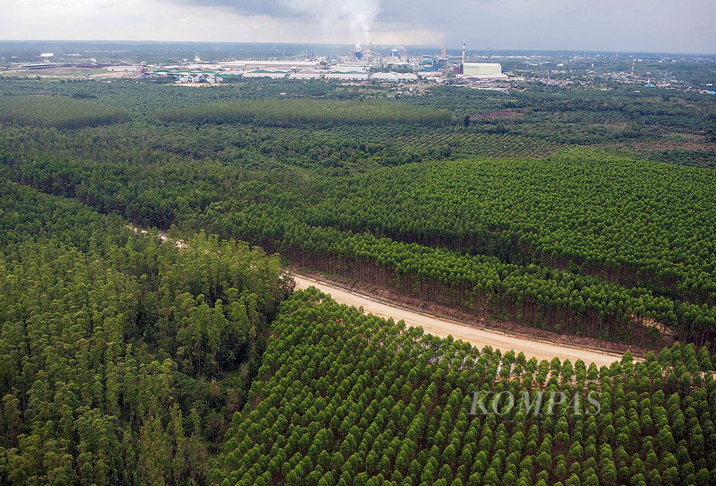 Hutan tanaman industri (HTI) yang menyuplai bahan baku kayu untuk pabrik Indah Kiat Pulp & Paper Perawang, di Siak, Riau, pada 2016.