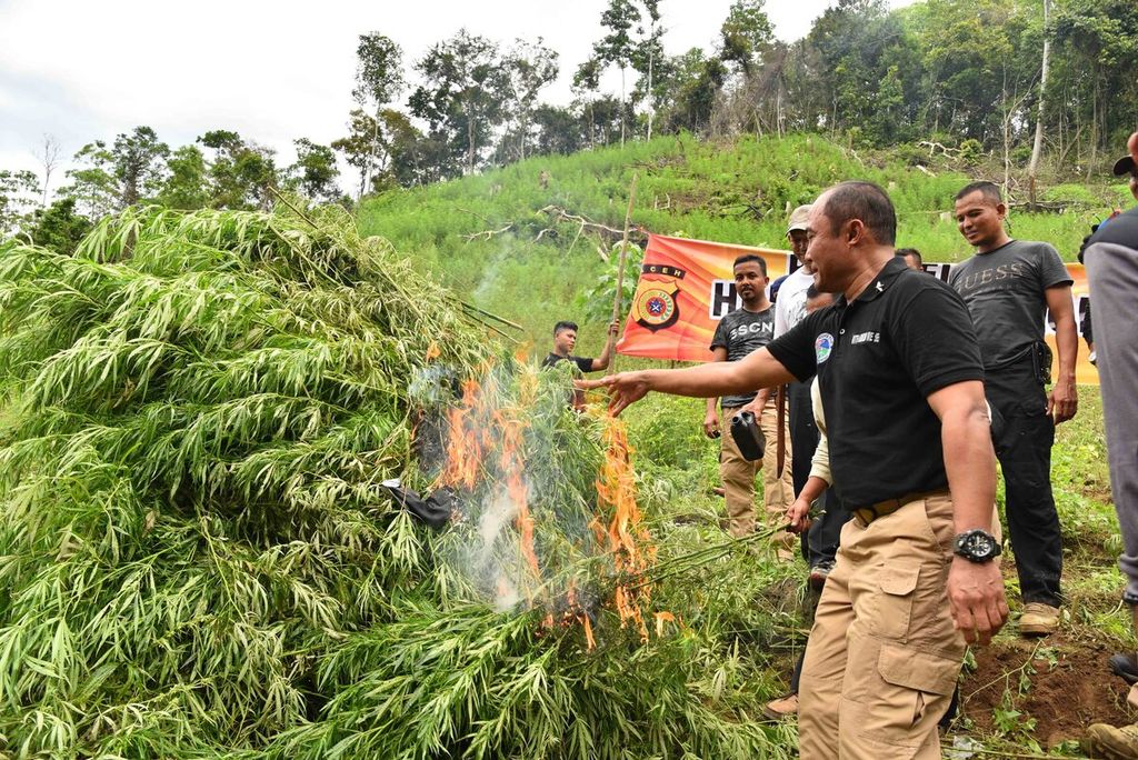  Pembakaran tanaman ganja seluas lebih dari 16 hektar di kaki pegunungan Seulawah, tepatnya di Desa Meusale Lhok, Kecamatan Indrapuri, Kabupaten Aceh Besar, Aceh.