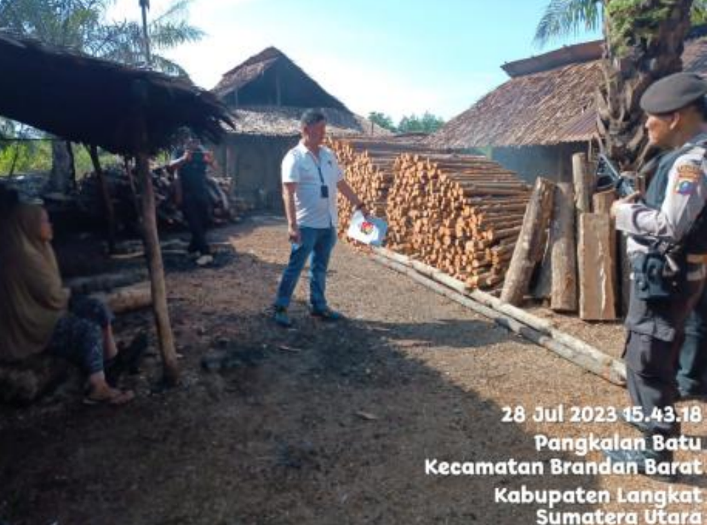 Kayu-kayu hasil pembalakan dari hutan mangrove di kawasan hutan Lubuk Kertang, Kabupaten Langkat, Sumatera Utara, tampak menumpuk di tempat pembuatan arang, Jumat (28/7/2023).