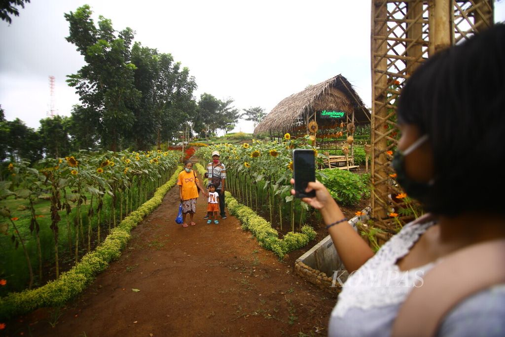 Pengunjung berfoto di Agrowisata Taman Suruh Banyuwangi, Jawa Timur, Rabu (15/8/2020). Sejumlah tempat wisata di Banyuwangi sudah melengkapi fasilitas pendukung protokol kesehatan. Namun, itu saja dinilai tidak cukup.