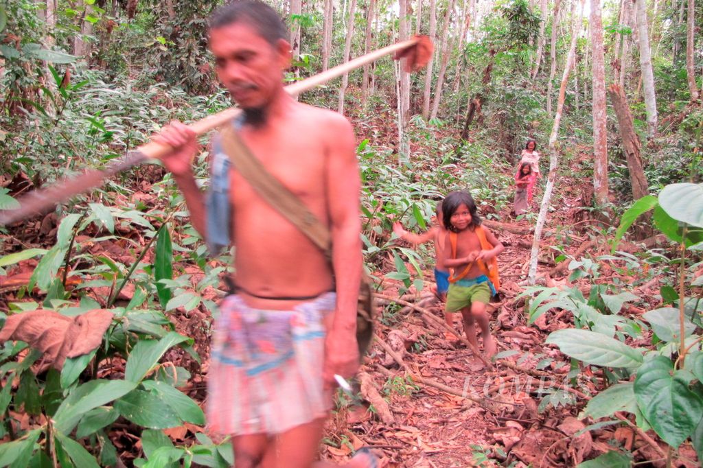 Taman Nasional Bukit Duabelas di Jambi tidak hanya menyediakan sumber pangan melimpah bagi komunitas adat Orang Rimba atau suku Anak Dalam.