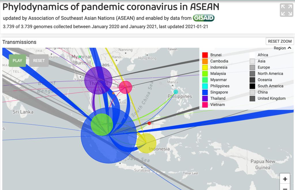 Filodinamika pandemi <i>coronavirus</i> di ASEAN. Besaran data genom ini ditentukan dengan berapa banyak analisis genomik yang didaftarkan ke GISAID, terlihat Singapura paling banyak melakukan analisis dan mendaftarkan ke bank data genom global ini. Sumber: https://www.gisaid.org/phylodynamics/asean/