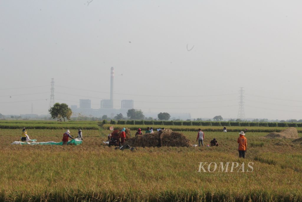 Buruh tani memanen padi di sekitar PLTU Indramayu di Desa Karanglayung, Kecamatan Sukra, Kabupaten Indramayu, Jawa Barat, Jumat (13/10/2023). PLTU berkapasitas 3 x 330 megawatt itu membutuhkan sekitar 12.000 metrik ton batubara per hari.