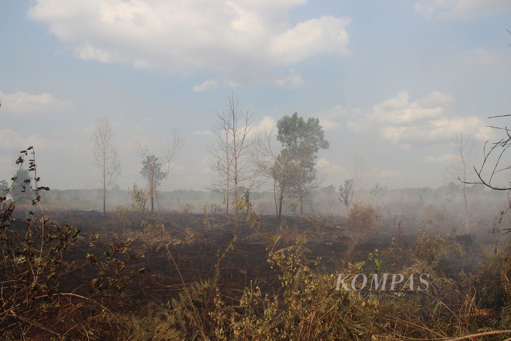 Kebakaran gambut di Kabupaten Kubu Raya, Kalimantan Barat, Jumat (26/7/2024).