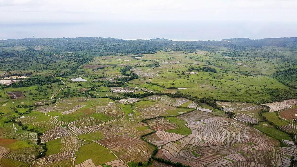 Sawah,  padang rumput, dan hutan membentang di Pulau Rote, Kabupaten Rote Ndao, Nusa Tenggara Timur, Selasa (9/1). Kabupaten Rote Ndao merupakan daerah surplus beras yang sebagian dikirim ke Kupang dan daerah lain di Pulau Timor.