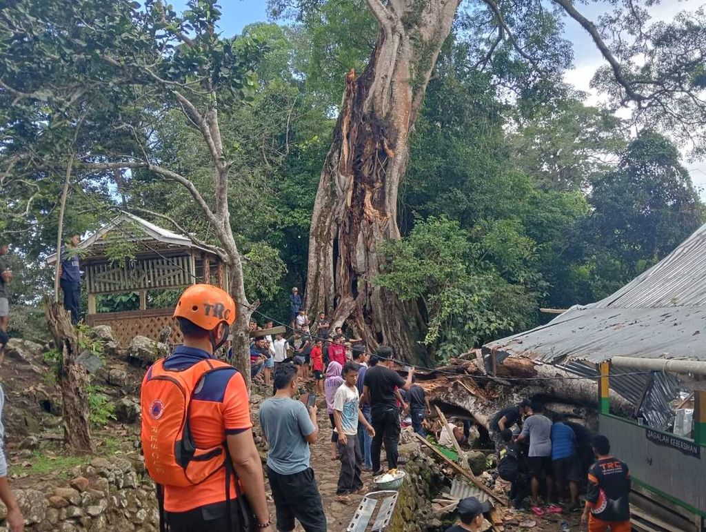 Lokasi bencana pohon tumbang di tempat wisata Situs Bulu Matanre, Kecamatan Lalabata, Kabupaten Soppeng, Sulawesi Selatan, Minggu (3/11/2024). Bencana tersebut mengakibatkan sembilan orang tewas dan dan delapan lainnya luka-luka. 