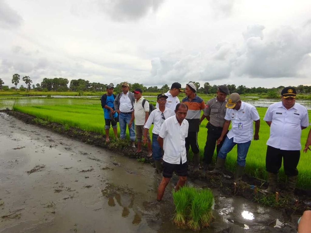 Lahan pertanian di Desa Kandar, Kabupaten Kepulauan Tanimbar, Maluku, pada pertengahan 2020. Dana desa digunakan untuk mendukung sektor pertanian di desa.