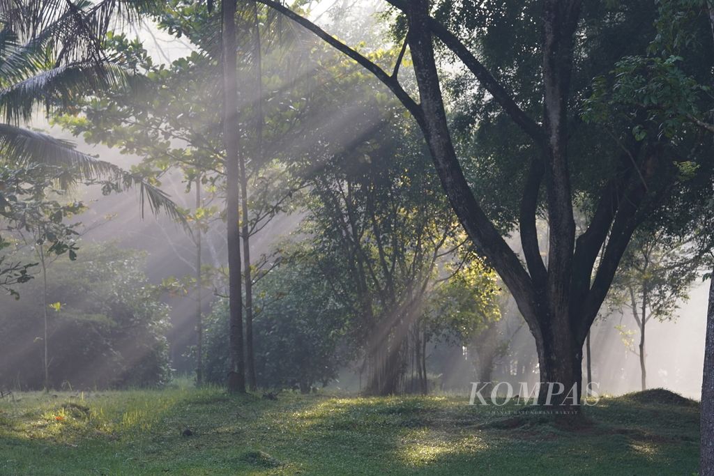 Suasana pagi di Kawasan Taman Candi Borobudur ketika Wakil Presiden Ma'ruf Amin berolahraga pagi, Jumat (22/4/2022).