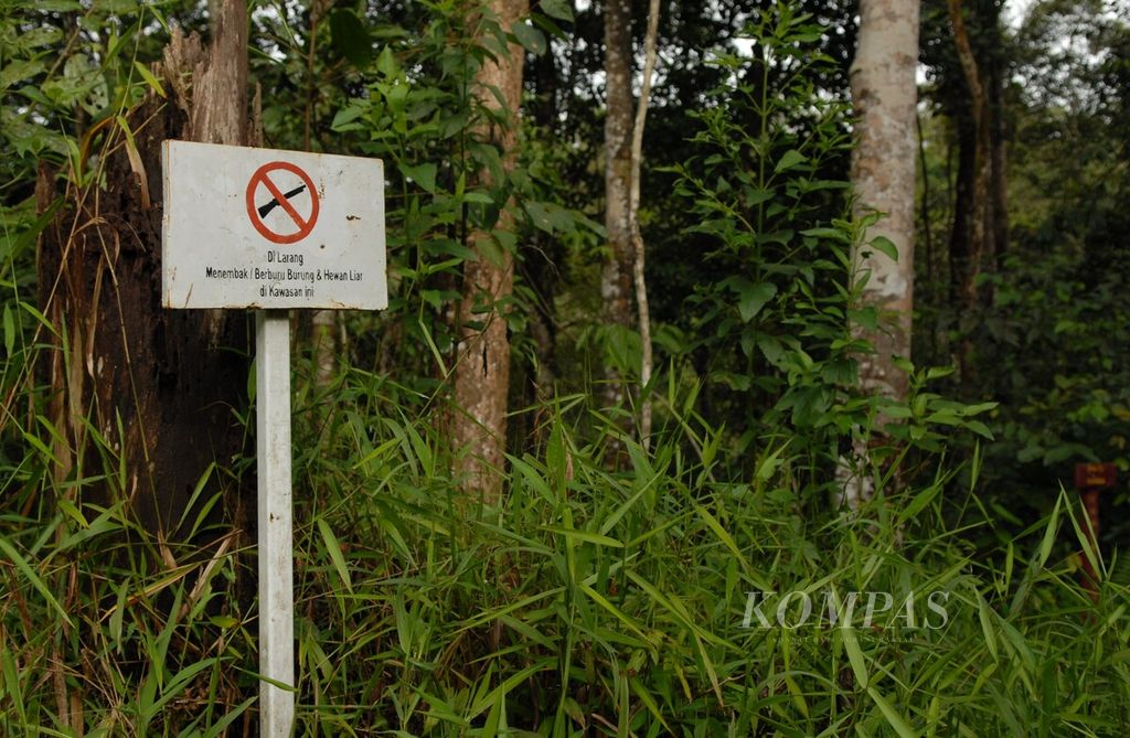 Tim patroli hutan adat di Rantau Kermas, Merangin, Jambi, Minggu (26/12/2023), menjalankan tugas jaga hutan. 