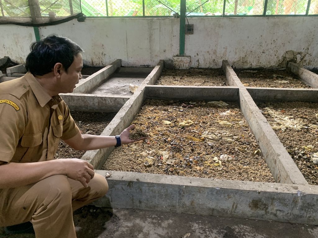Kepala Komposter UPT TPA Cipeucang Ues Sulkurni menunjukkan maggot yang ada di tempat pembudidayaan milik UPT TPA Cipeucang, Tangerang Selatan, Selasa (14/3/2023).