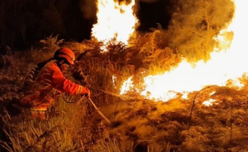 Petugas berupaya memadamkan api yang membakar vegetasi di Gunung Batok di Taman Nasional Bromo Tengger Semeru yang masuk wilayah Desa Wonokitri, Kecamatan Tosari, Kabupaten Pasuruan, Jawa Timur, Sabtu (22/6/2024) malam.