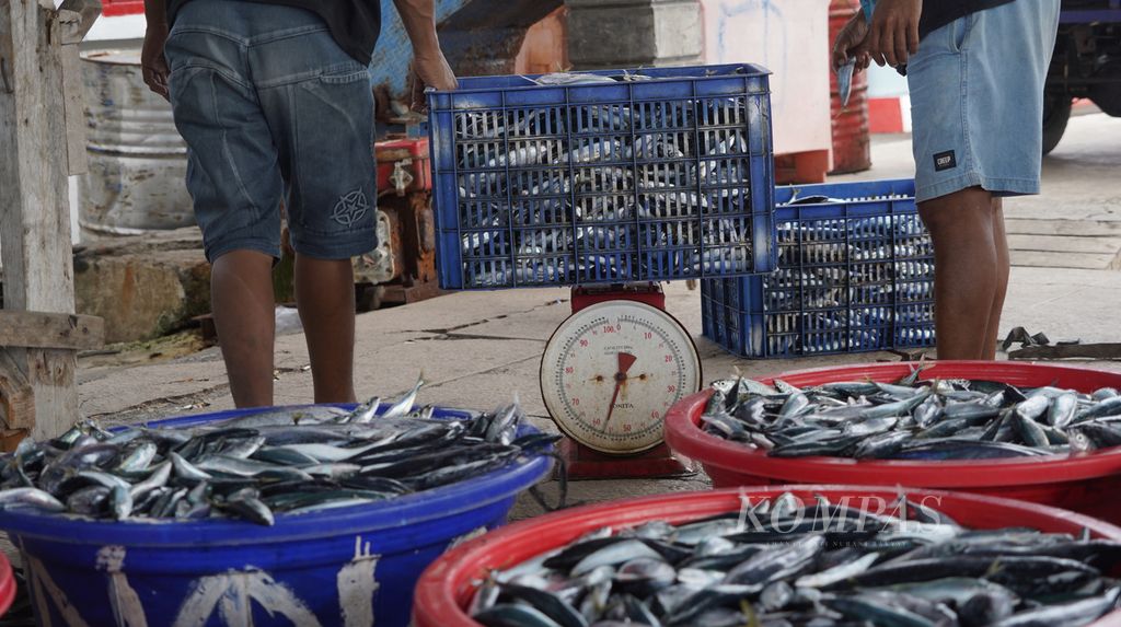 Suasana penimbangan hasil tangkapan nelayan di Pangkalan Pendaratan Ikan (PPI) Dufa-dufa, Kota Ternate, Maluku Utara. Nelayan menjual ikan tangkapannya berkisar Rp 18.000-Rp 20.000 per kilogram. 