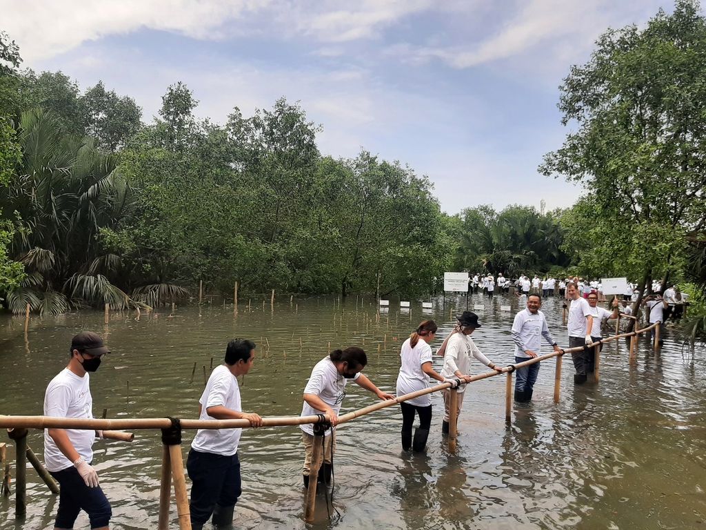Aksi peserta dalam kegiatan Melestarikan Mangrove untuk Indonesia yang Lestari di Suaka Margasatwa Muara Angke, Jakarta Utara, Sabtu (10/12/2022).