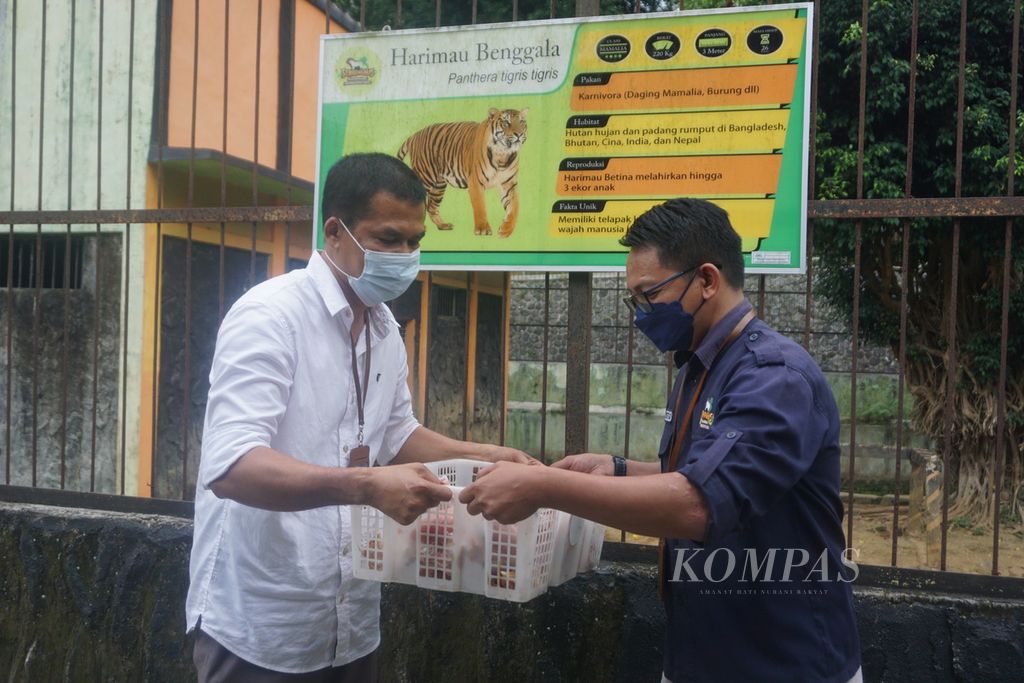 Ketua Forum Kerja Sama Kebun Binatang dan Aquaria (FKKBA) Jawa Tengah dan DIY Junjung (kiri) menyerahkan daging secara simbolis sebagai bentuk donasi kepada Direktur Taman Rekreasi Margasatwa Serulingmas Lulut Yekti Adi di Banjarnegara, Jawa Tengah, Sabtu (16/10/2021).