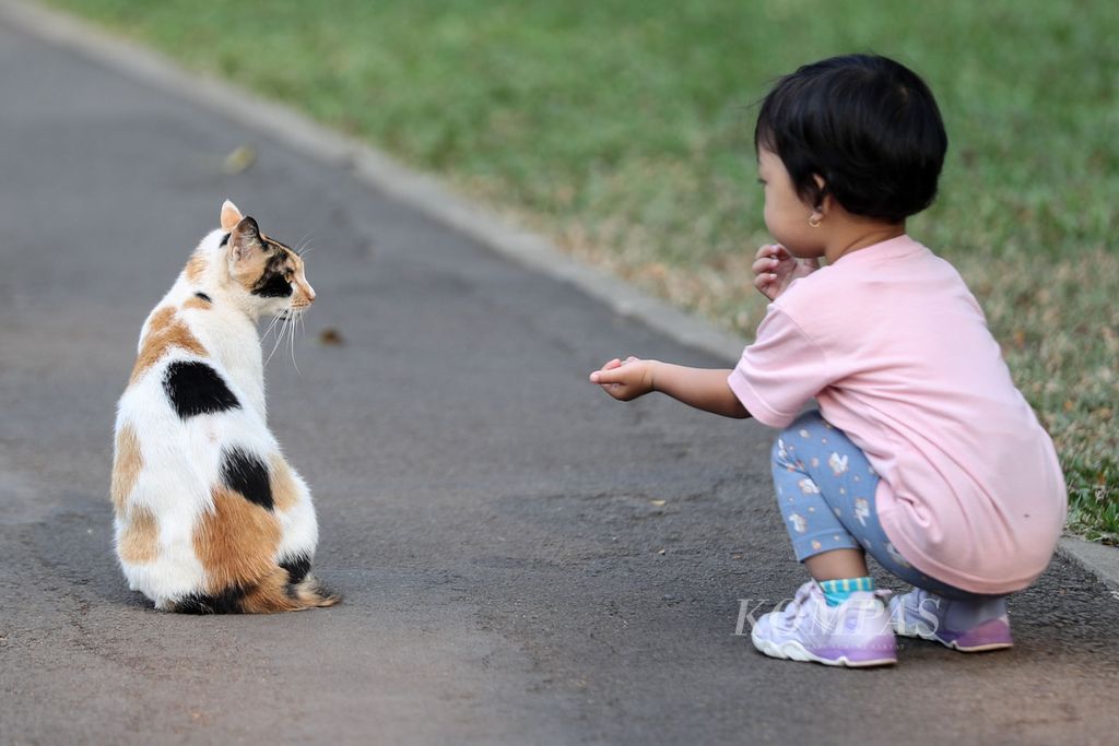 Anak bermain dengan seekor kucing di Tebet Eco Park, Jakarta Selatan, Sabtu (9/9/2023). 