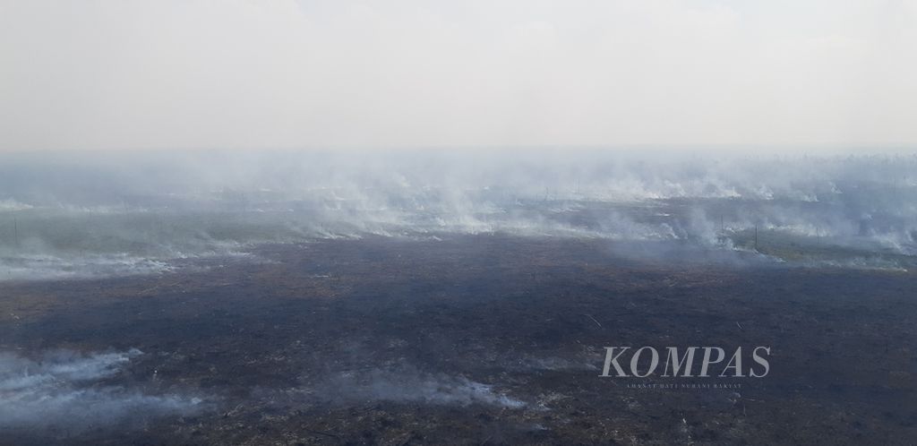 Kebakaran luas di hamparan gambut yang menjadi sumber penyebab asap di Jambi. Tampak kebakaran meluas di wilayah Kumpeh, Kabupaten Muaro Jambi, Kamis (10/10/2019).
