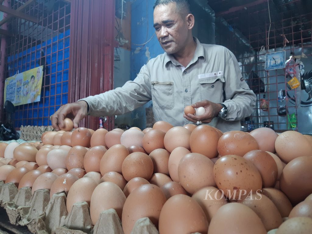 Pedagang menyusun telur ayam di kiosnya di Inpres Blok II Pasar Raya Padang, Padang, Sumatera Barat, Kamis (8/12/2022). Harga telur ayam berangsur naik menjelang momen Natal dan Tahun Baru 2023 karena banyaknya permintaan dari luar provinsi kepada peternak. 