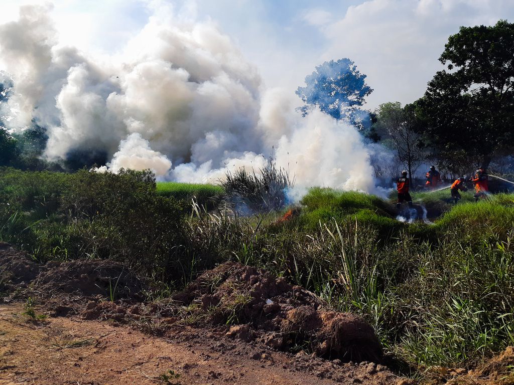 Petugas satgas penanggulangan karhutla Sumsel sedang memadamkan sebuah titik api yang terletak di Desa Talang Pengeran Ilir, Kecamatan Pemulutan Barat, Kabupaten Ogan Ilir, Sumatera Selatan, Jumat (28/8/2020). 