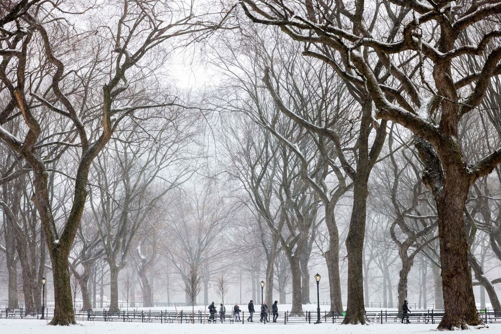 Warga berjalan melewati Central Park New York, Amerika Serikat, ketika salju turun saat badai musim dingin melanda kawasan ini, Jumat  (19/1/2024).