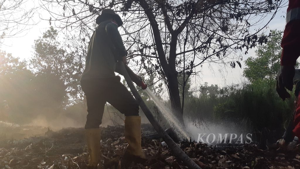 Tim gabungan pemadam kebakaran di Kalimantan Tengah membasahi gambut yang rawan terbakar di Kota Palangkaraya, Kalimantan Tengah, pada Selasa (27/6/2023). 