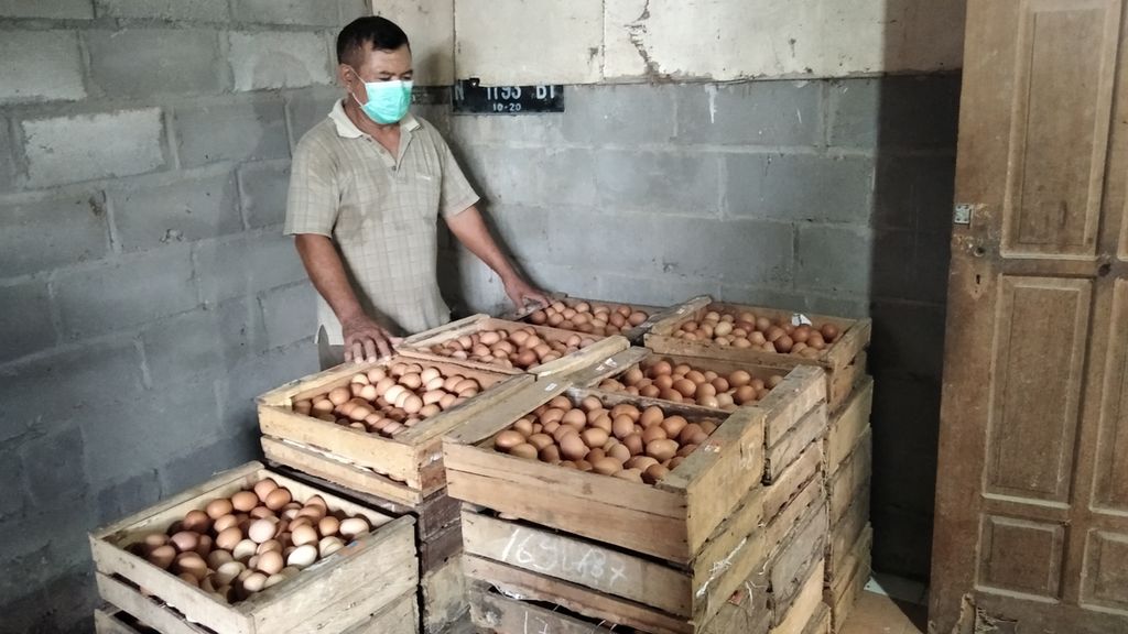 Seorang peternak di Desa Pohgajih, Kecamatan Selorejo, Kabupaten Blitar, Jawa Timur, Widodo Setiohadi, Selasa (14/9/2021), menunjukkan telur ayam ras yang dikumpulkan dari kandangnya sebelum dijual ke <i>poultry </i>atau pengepul. 