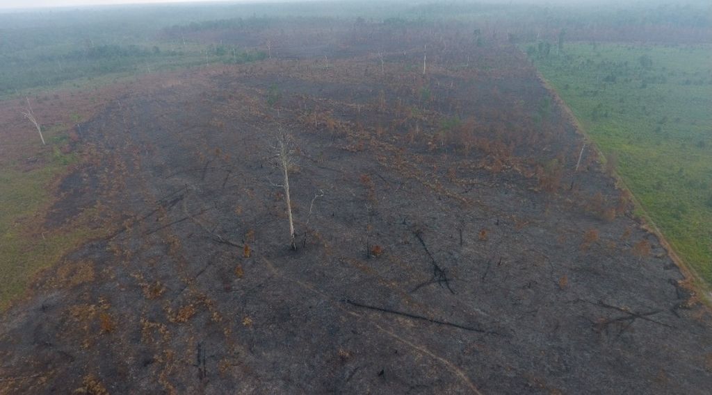 Salah satu lokasi kebakaran hutan dan lahan milik korporasi di Kalimantan Barat, Jumat (1/9/2023). Tim Balai Gakkum KLHK Wilayah Kalimantan juga telah menyegel lokasi karhutla milik empat korporasi di Kalimantan Barat, pada Jumat (1/9/2023).
