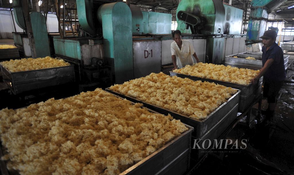 Pekerja mendorong kotak berisi karet yang baru diolah di pabrik pengolah karet Bunut milik PT Bakrie Sumatera Plantation Sumut I di Kabupaten Asahan, Sumatera Utara.
