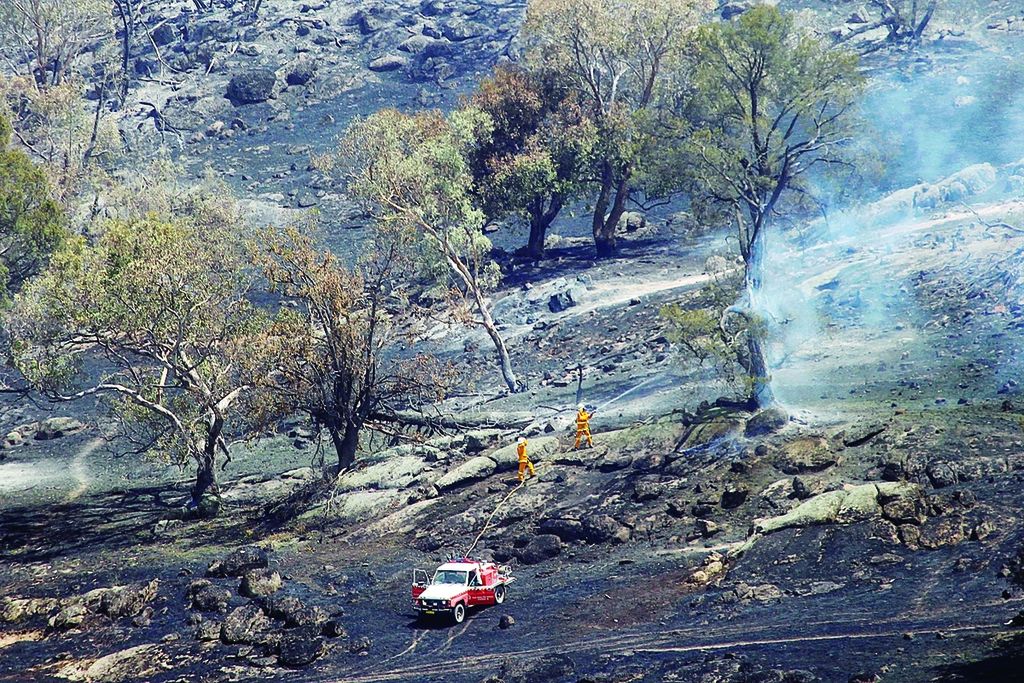 Petugas berusaha memadamkan kebakaran hutan dan lahan di Oura, Wagga Wagga, New South Wales, Australia, 8 Januari 2013.