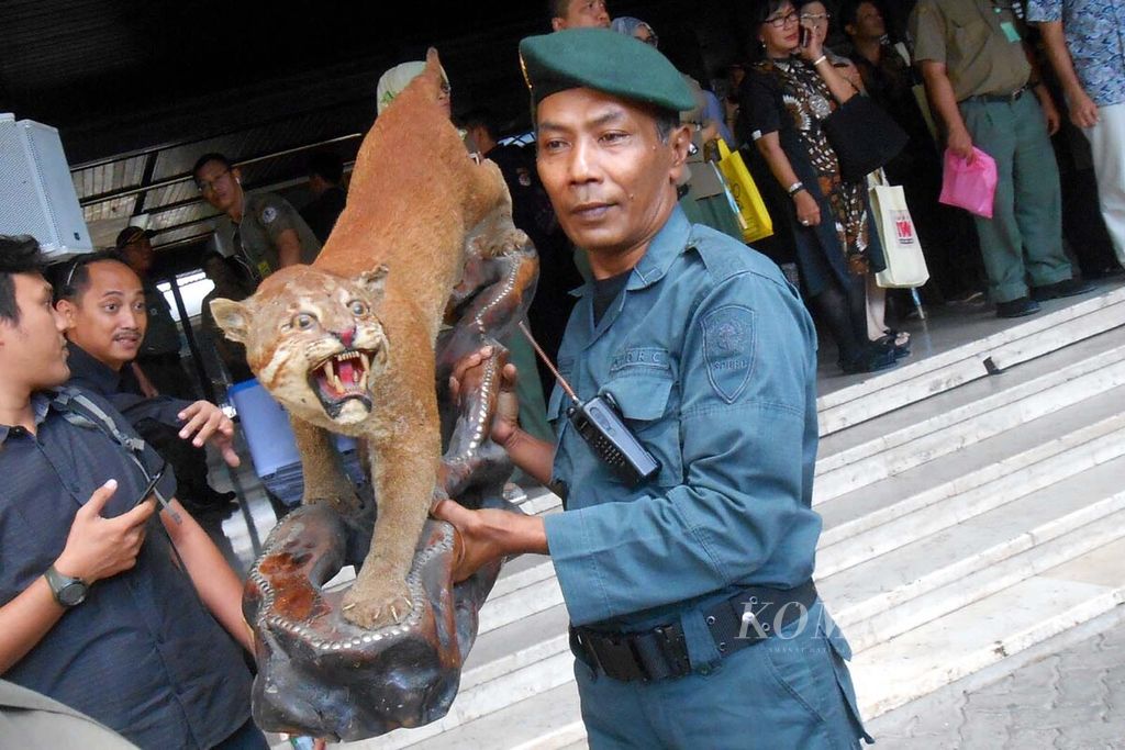 Polisi Hutan Kementerian Lingkungan Hidup dan Kehutanan, Senin (30/1/2018), di Jakarta menggotong <i>offset-</i>an macan, barang bukti kejahatan perdagangan satwa liar.