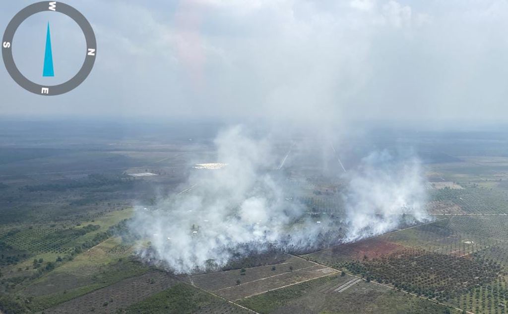 Pantauan udara kebakaran lahan gambut di kawasan Muara Belida, Kabupaten Muaraenim, Sumatera Selatan, Senin (29/7/2024) siang.