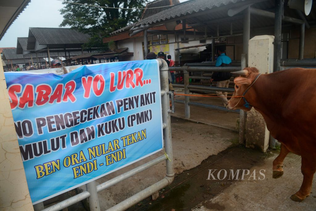 Sebuah spanduk informasi dan imbauan tentang wabah penyakit mulut dan kaki yang sedang menyerang sapi dan kambing dipasang pada pintu masuk di Pasar Hewan Ambarawa, Kabupaten Semarang, Jawa Tengah, Kamis (12/5/2022). 