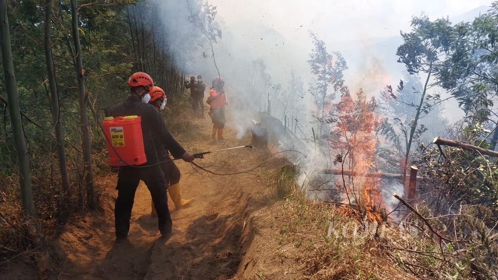 Pemadaman api di jalur sekitar Bantengan, Ranupani, Lumajang, Jawa Timur, Rabu (30/8/2023). Kebakaran di kawasan Taman Nasional Bromo Tengger Semeru tersebut hingga saat ini masih berlangsung dan terus berusaha dipadamkan oleh tim gabungan.