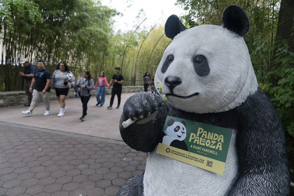 Para pengunjung berjalan di Smithsonian National Zoo, Washington, AS, Kamis (28/9/2023). Tiga panda yang ada di sini, yaitu Mei Xiang dan pasangannya, Tian Tian, serta anaknya, Xiao Qi Ji, akan kembali ke China bulan Desember karena perjanjian sewanya sudah selesai dan belum diperpanjang.