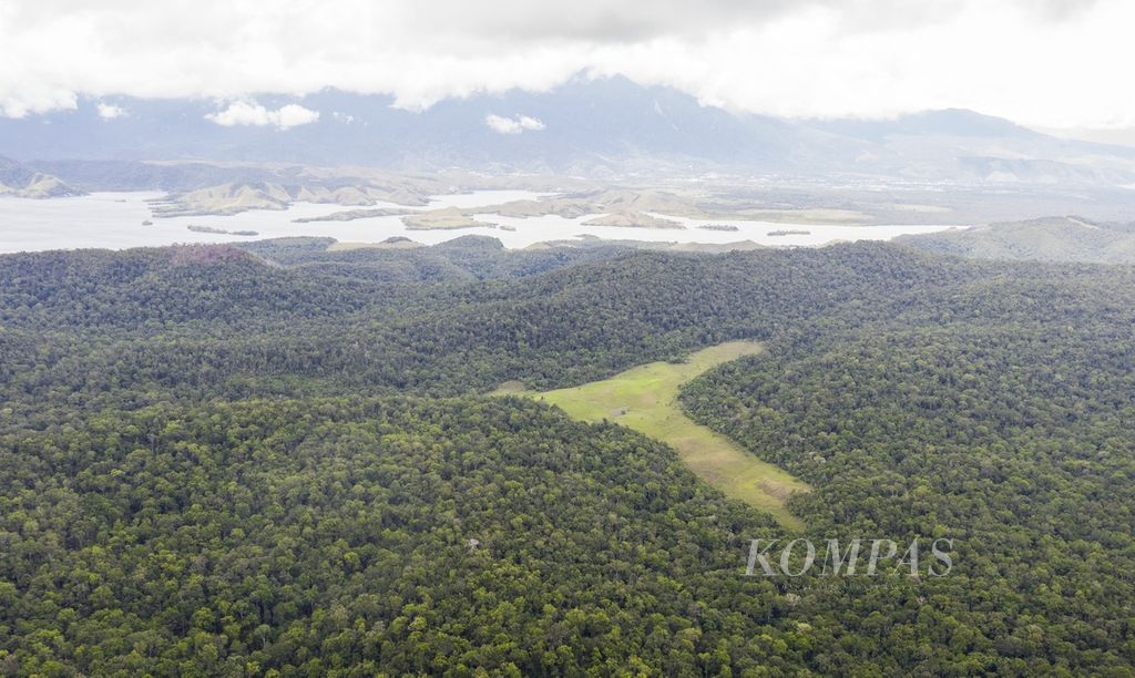 Kawasan hutan adat milik Kampung Aib, Distrik Kemtuk, Kabupaten Jayapura dengan latar belakang Danau Sentani yang masih terjaga kelestariannya, Sabtu (4/12/2021). Sekelompok masyarakat adat bertekad menjaga hutan adat miliknya di tengah ancaman pembalakan hutan yang terjadi secara masif di wilayah Papua. 