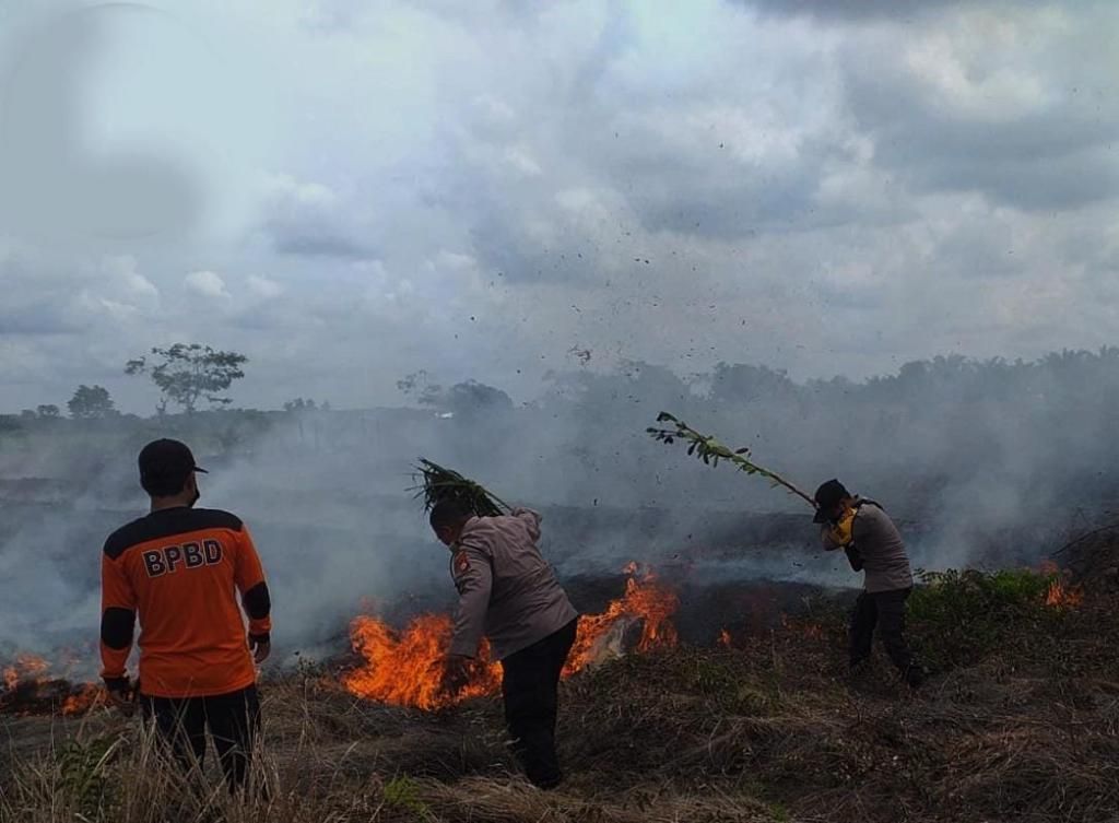 Petugas BPBD Kabupaten Sukamara bersama Manggala Agni dan instansi lainnya berupaya memadamkan api di Desa Sungai Cabang Barat, Kabupaten Sukamara, Minggu (8/5/2022). 