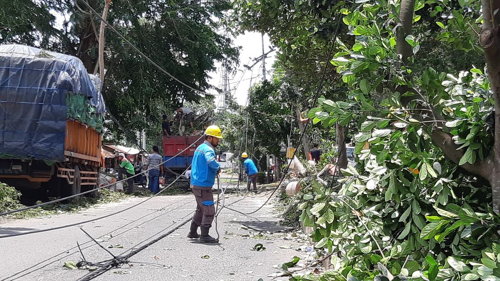 ilustrasi. Petugas PT PLN Distribusi Lampung sedang memperbaiki kabel dan tiang listrik yang tertimpa pohon tumbang, Kamis (20/2/2020).