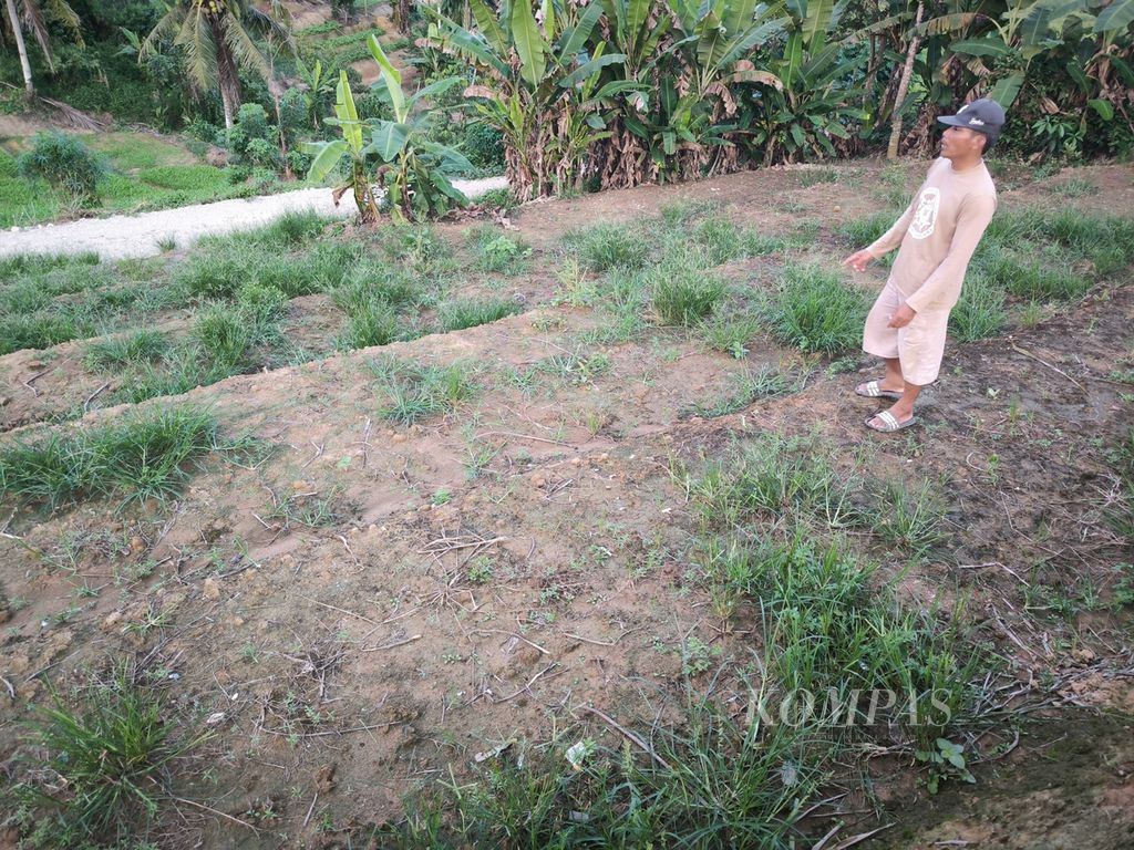 Legimin (53) menunjukkan lahan pertaniannya yang kini tidak lagi ditanami sayuran karena kesulitan mendapatkan air di Desa Sumber Sari, Kabupaten Kutai Kartanegara, Kalimantan Timur, Minggu (24/12/2023). 