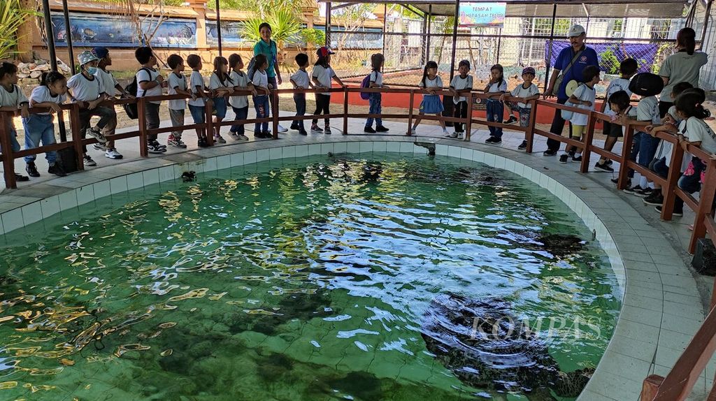 Serombongan murid taman kanak-kanak bersama guru mengunjungi Turtle Conservation and Education Center (TCEC) Serangan, yakni pusat konservasi dan edukasi penyu di Kelurahan Serangan, Kota Denpasar, Senin (29/5/2023). Kelurahan Serangan memiliki potensi desa wisata, di antaranya wisata edukasi dan wisata bahari. 