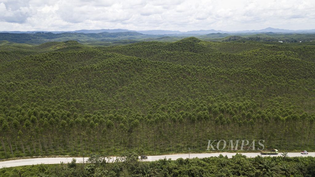 Foto udara kawasan hutan tanaman industri PT ITCI Hutani Manunggal yang pernah dikunjungi oleh Presiden Joko Widodo pada Desember 2019 di Kelurahan Pemaluan, Kecamatan Sepaku, Kabupaten Penajam Paser Utara, Kalimantan Timur, Kamis (11/3/2021). Kawasan tersebut menjadi calon lokasi ibu kota negara baru. Jalan negara yang menjadi akses utamanya kini telah mulus.