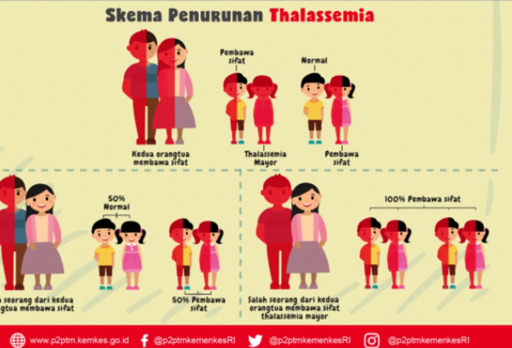 Infografik Skema Penurunan Talasemia (Sumber: http://www.p2ptm.kemkes.go.id)