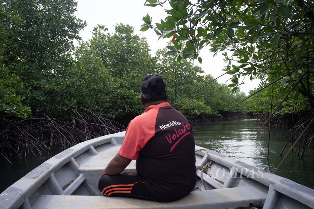 Muhammad Syaifullah menunjukkan lokasi penanaman bakau oleh Kelompok Pejuang Mangrove Pulau Buluh, Kota Batam, Kepulauan Riau, Selasa (19/12/2023).
