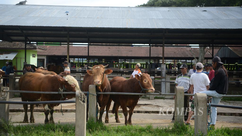 Sejumlah pedagang bertransaksi jual beli sapi di Pasar Hewan Grabag, Magelang, Jawa Tengah, Jumat (26/3/2021). Sejumlah pedagang di pasar itu memilih menunda penjualan sapi mereka hingga mendekati Lebaran agar dapat memperoleh harga jual yang lebih baik.