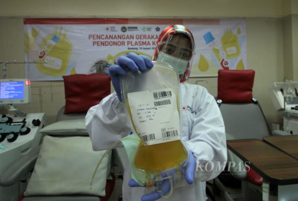 Petugas menunjukkan plasma konvalesen yang didonorkan penyintas Covid-19 di Unit Transfusi Darah Palang Merah Indonesia (PMI) Kota Bandung, Jawa Barat, Selasa (19/1/2021). Plasma konvalesen ini akan dikirimkan ke rumah sakit untuk membantu penyembuhan pasein Covid-19.