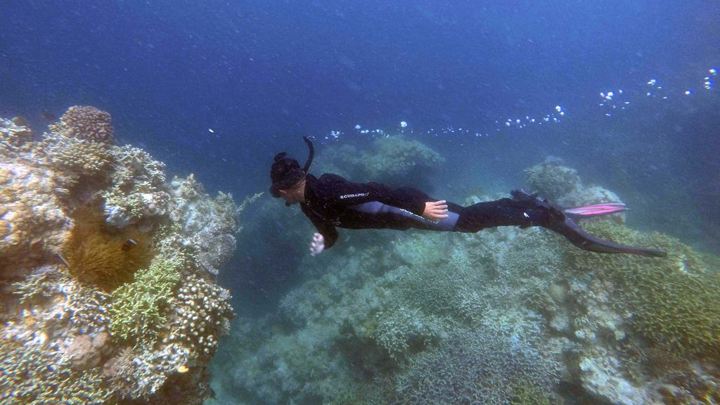 Penyelam menikmati pemandangan di salah satu tempat penyelaman dengan pemandangan terumbu karang dan ikan di dekat Pulau Hoga, Wakatobi, Sulawesi Tenggara