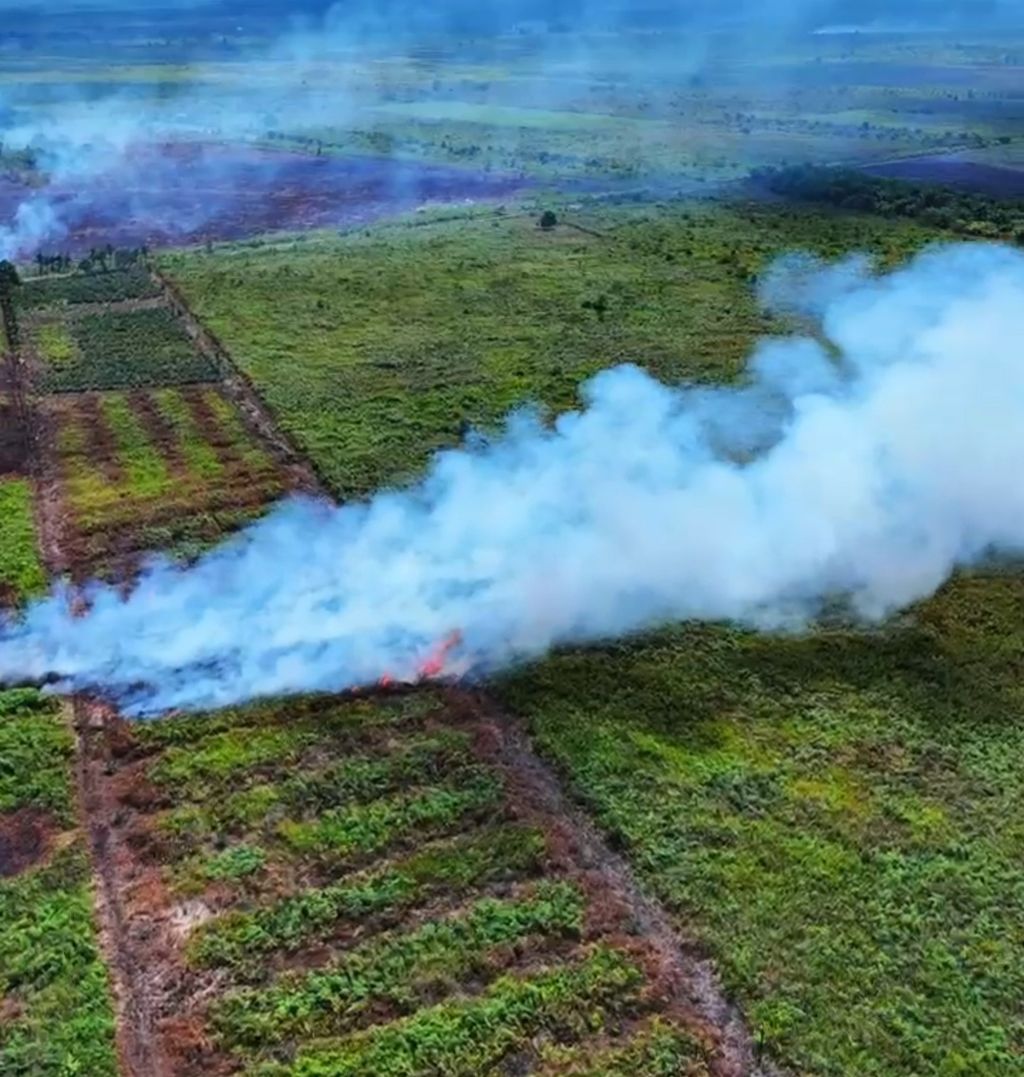 Kebakaran lahan di Kabupaten Kubu Raya, Kalimantan Barat, yang berasal dari tangkapan gambar dari video <i>drone </i>Palang Merah Indonesia Kalbar, Sabtu (20/7/2024) pukul 15.00.