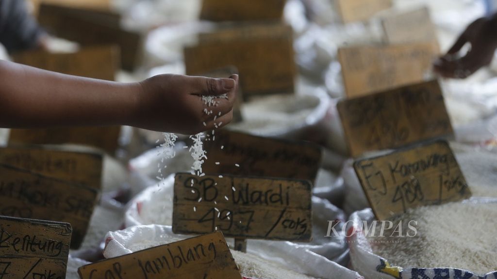 Buyers check the quality of each type of rice at the Cipinang Rice Main Market, Jakarta, on Monday (3/10/2022).