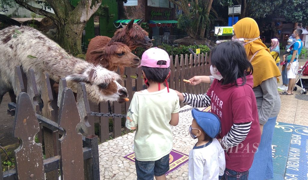 Wisatawan memberi makan satwa di Batu Secret Zoo-Jatim Park II di Kota Batu, Jawa Timur, pertengahan Januari 2021.